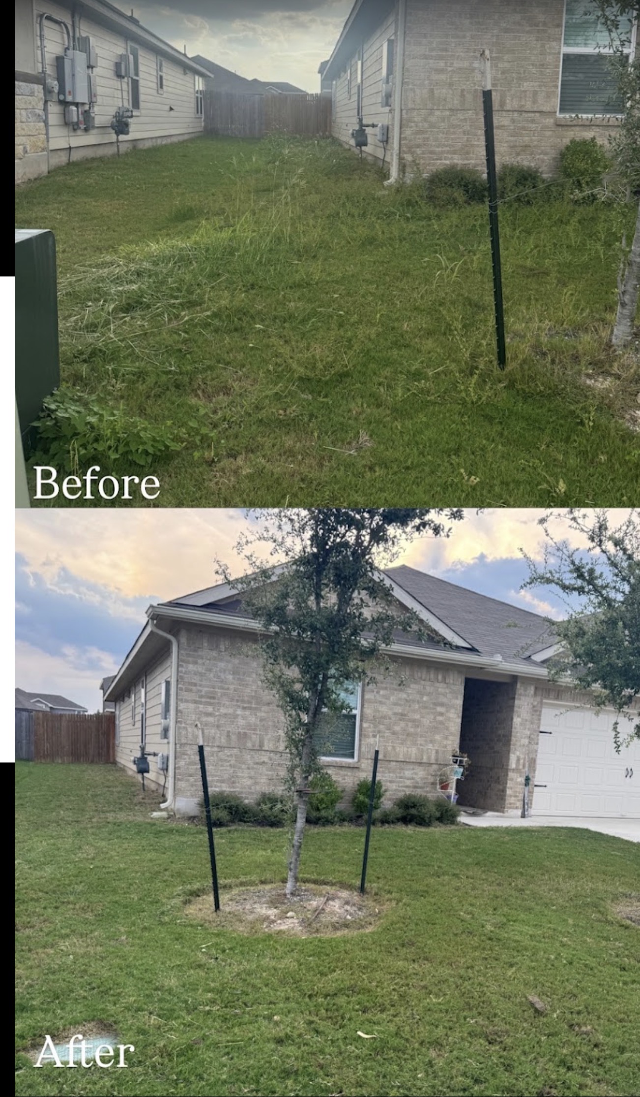 Front and side lawn cleanup