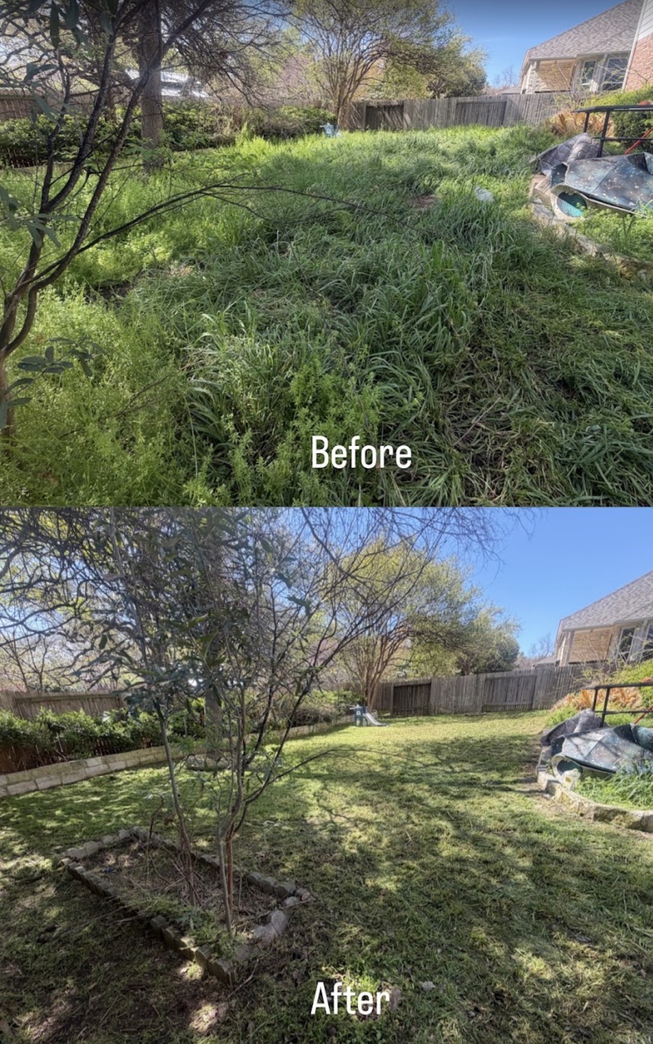 Overgrown yard before and after cleanup